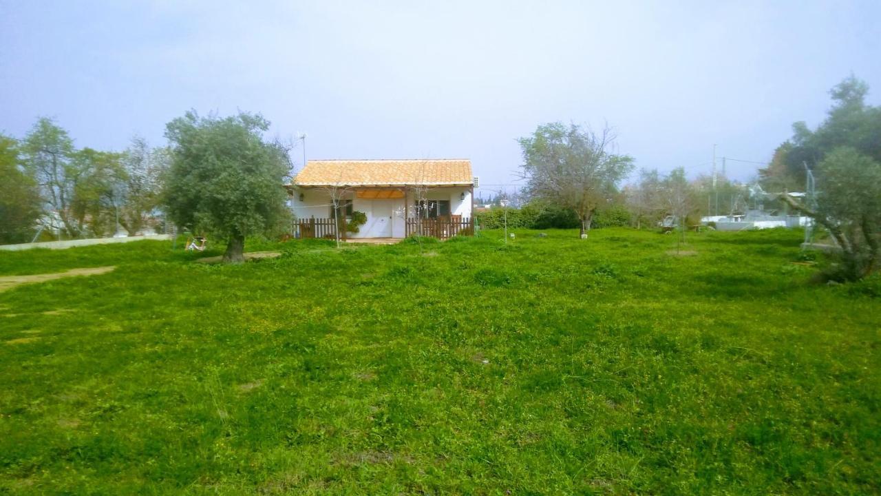 Casa De Campo Los Manueles Ideal Perros Pet Friendly Gojar المظهر الخارجي الصورة