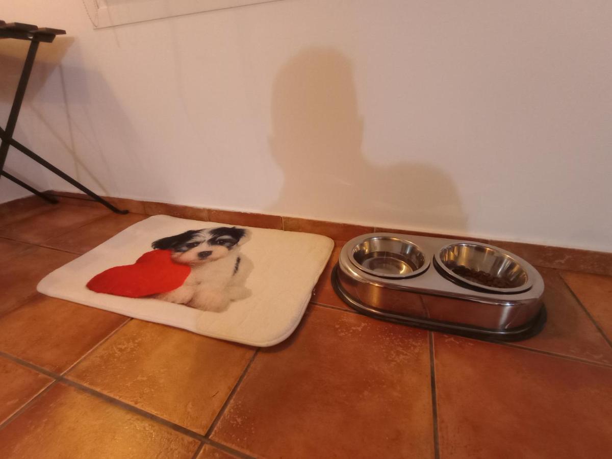 Casa De Campo Los Manueles Ideal Perros Pet Friendly Gojar المظهر الخارجي الصورة