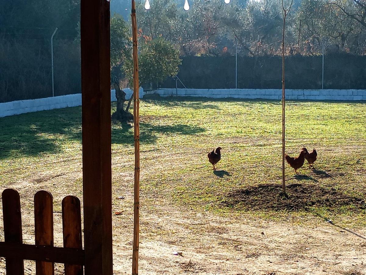 Casa De Campo Los Manueles Ideal Perros Pet Friendly Gojar المظهر الخارجي الصورة