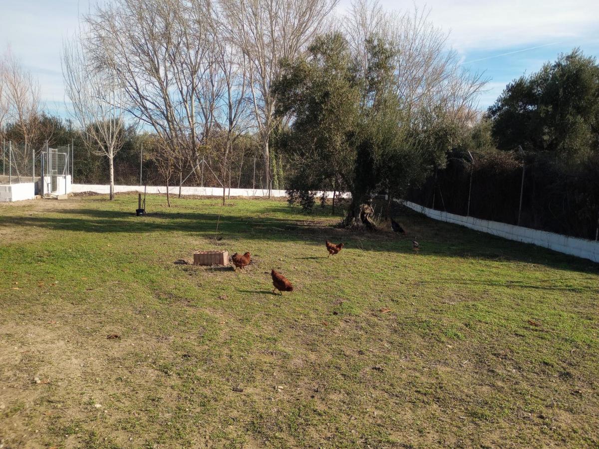 Casa De Campo Los Manueles Ideal Perros Pet Friendly Gojar المظهر الخارجي الصورة
