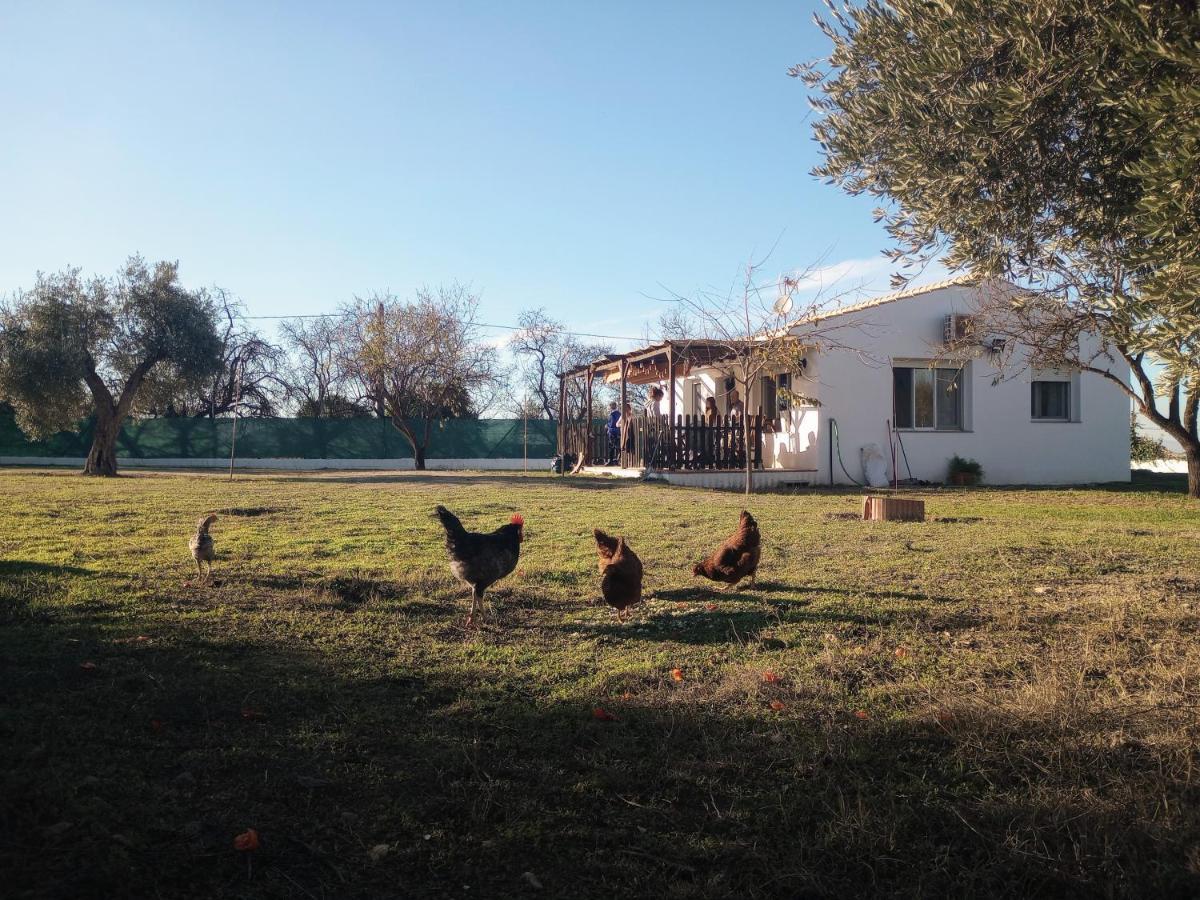 Casa De Campo Los Manueles Ideal Perros Pet Friendly Gojar المظهر الخارجي الصورة