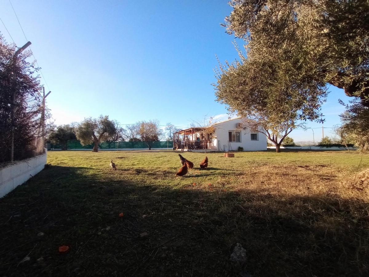 Casa De Campo Los Manueles Ideal Perros Pet Friendly Gojar المظهر الخارجي الصورة