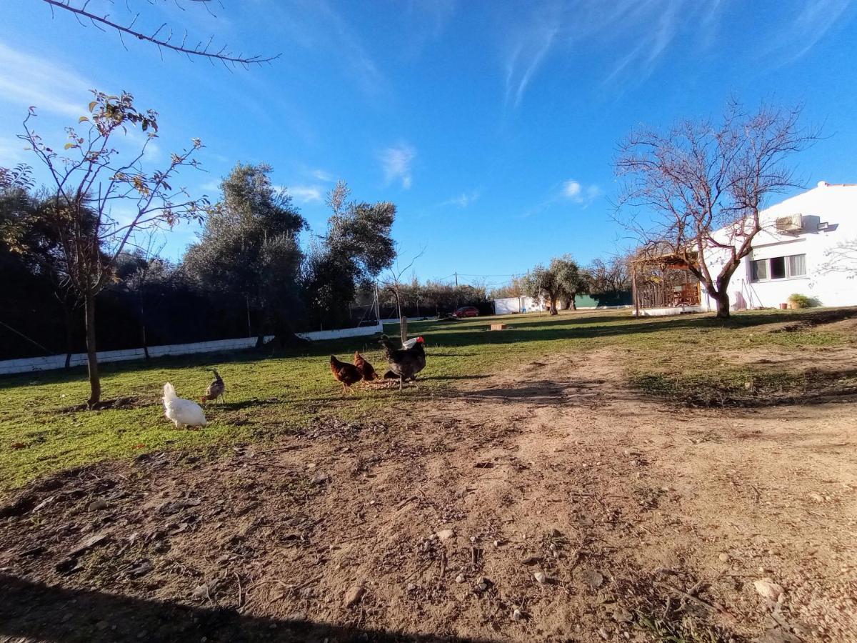 Casa De Campo Los Manueles Ideal Perros Pet Friendly Gojar المظهر الخارجي الصورة