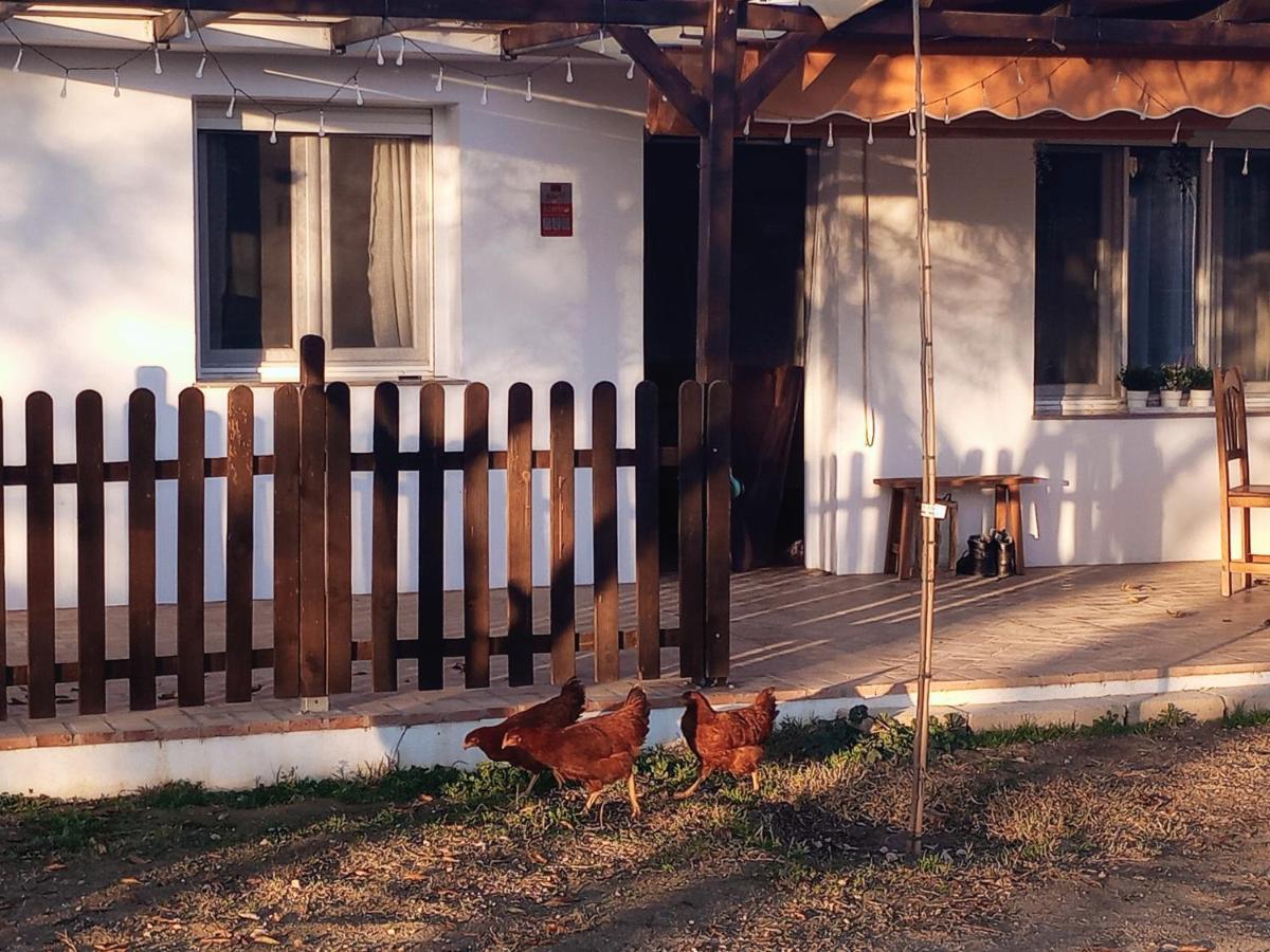 Casa De Campo Los Manueles Ideal Perros Pet Friendly Gojar المظهر الخارجي الصورة