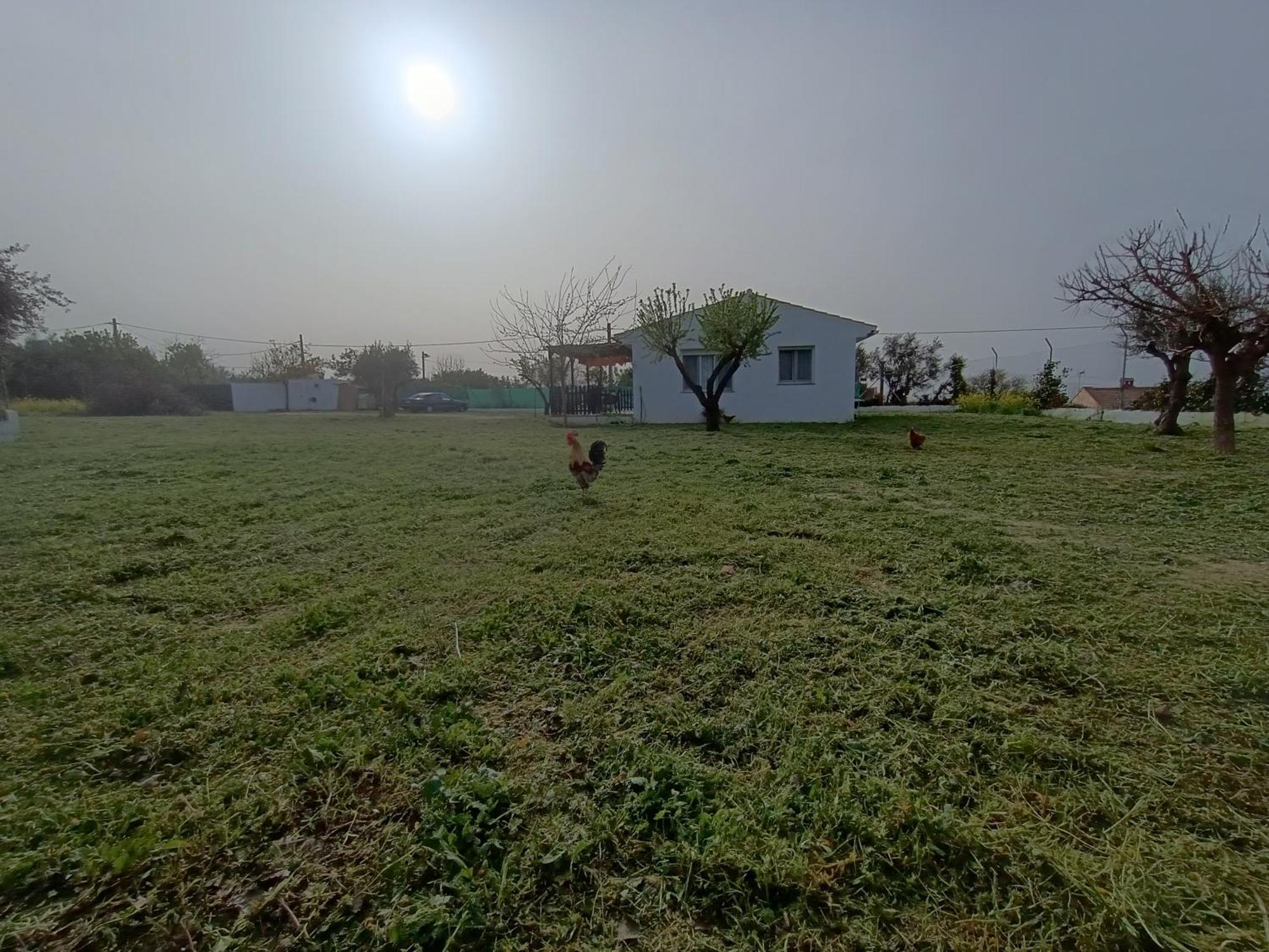 Casa De Campo Los Manueles Ideal Perros Pet Friendly Gojar المظهر الخارجي الصورة