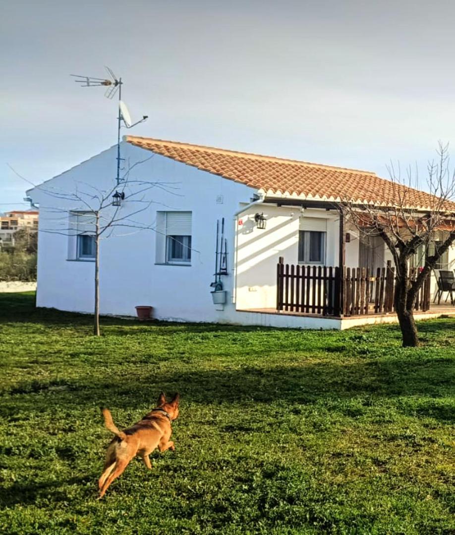 Casa De Campo Los Manueles Ideal Perros Pet Friendly Gojar المظهر الخارجي الصورة