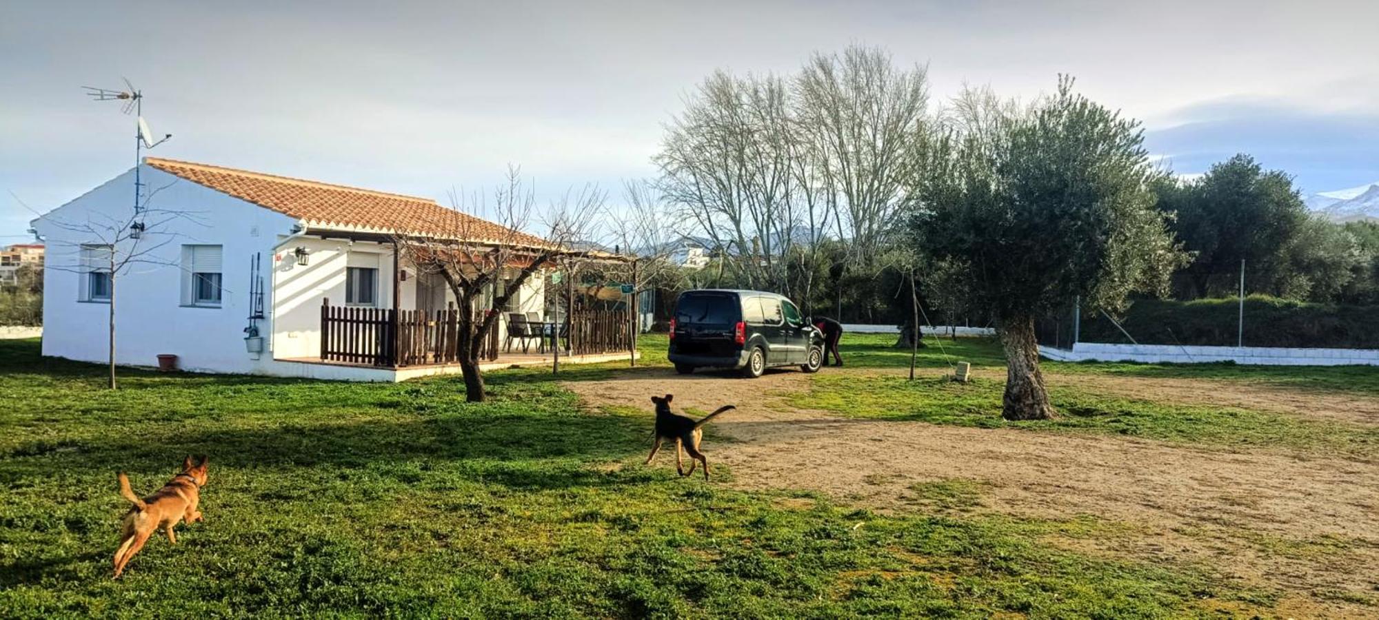 Casa De Campo Los Manueles Ideal Perros Pet Friendly Gojar المظهر الخارجي الصورة